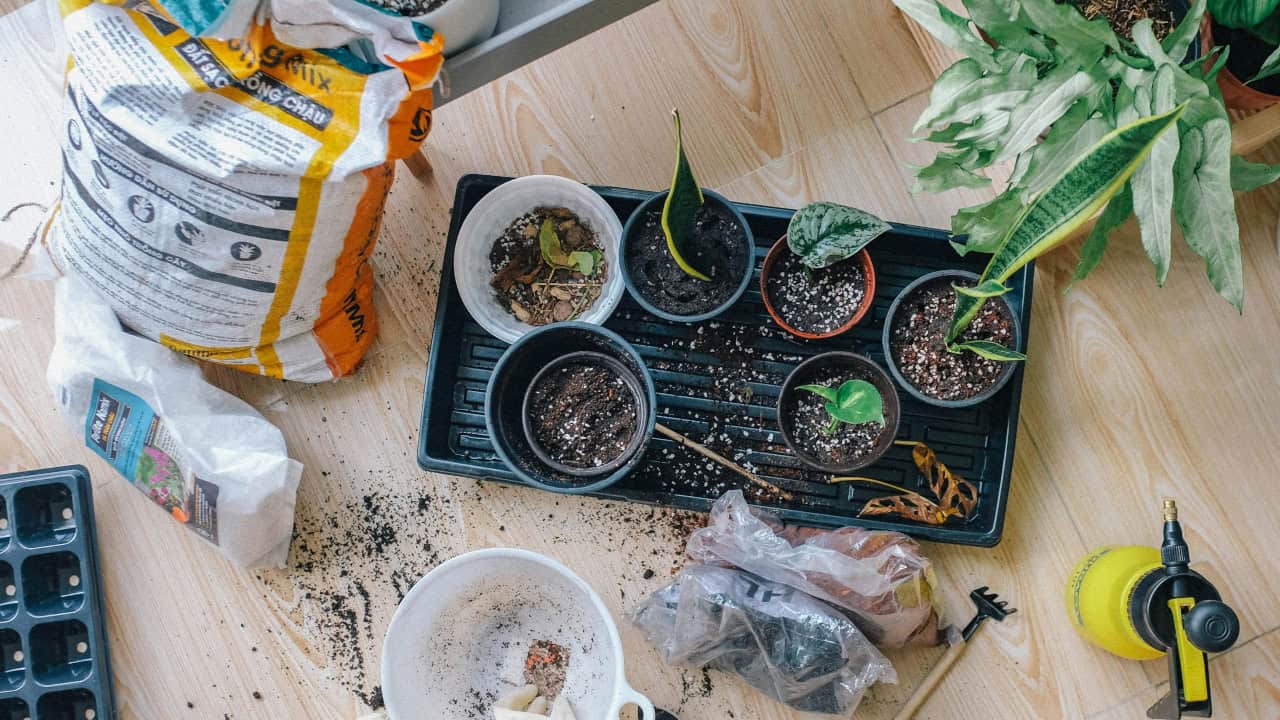 Indoor Herb Gardens